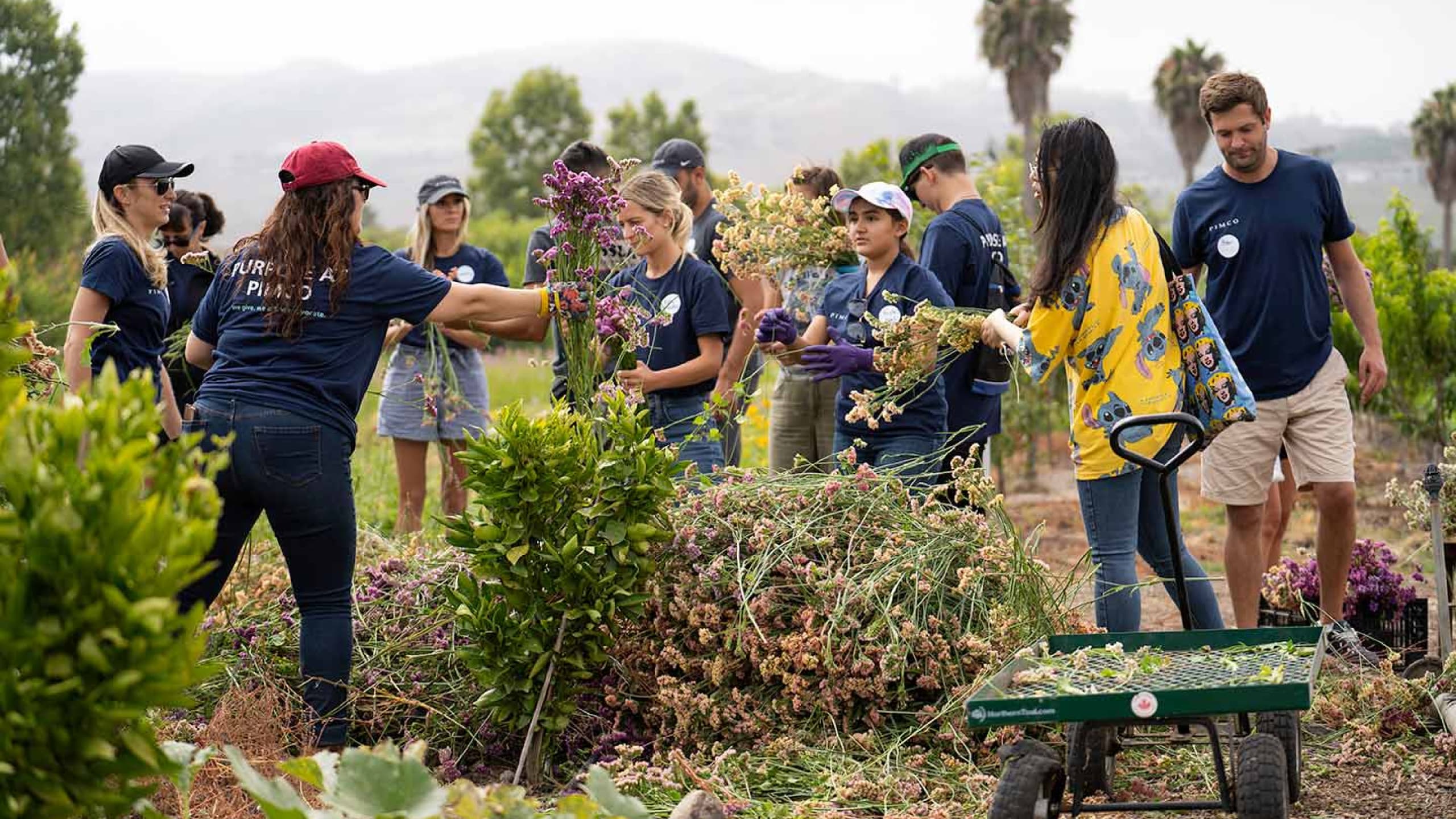 Global Month of Volunteering