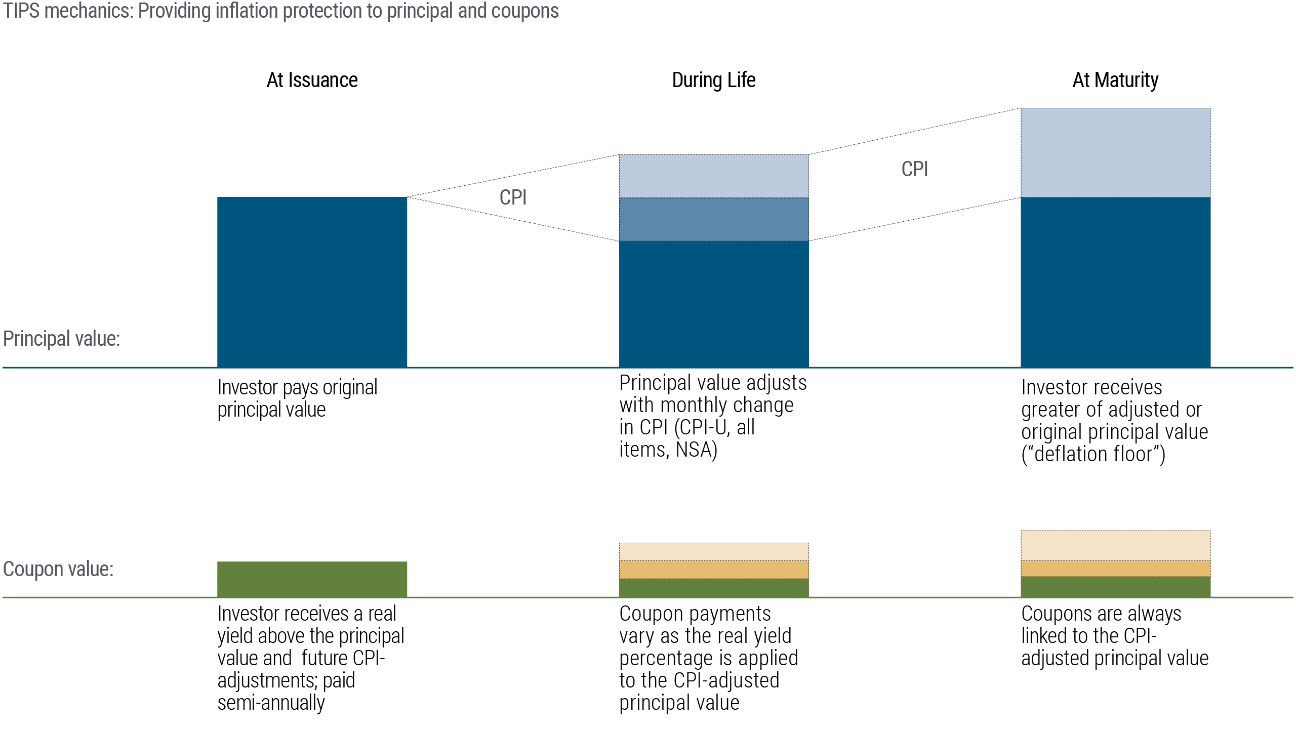 This graphic explains how Treasury Inflation-Protected Securities (TIPS) can grow in value over time, focusing on the principal value and coupon value at different stages: at issuance, during life, and at maturity.   The graphic uses a combination of colored bars and gray lines to represent changes in principal and coupon values across the lifetime of the securities, with CPI adjustments illustrated as shaded areas above the initial principal.   The upper part of the graphic depicts lifetime changes in principal value, while the lower part of the graphic depicts lifetime changes in coupon value.   1. Lifetime of principal value:  - At Issuance: Investor pays original principal value.  - During Life: Principal value adjusts with monthly change in CPI (CPI-U, all items, NSA).  - At Maturity: Investor receives the greater of the adjusted or original principal value (referred to as the "deflation floor").  2. Lifetime of coupon value:  - At Issuance: Investor receives a real yield above the principal value and future CPI adjustments; paid semi-annually.  - During Life: Coupon payments vary as the real yield percentage is applied to the CPI-adjusted principal value.  - At Maturity: Coupons are always linked to the CPI-adjusted principal value.  The source of the data is PIMCO, and the graphic is labeled for illustrative purposes only.   Regarding acronyms:   NSA stands for non-seasonally adjusted.   CPI is an abbreviation for Consumer Price Index, a common and universally-respected inflation measure.